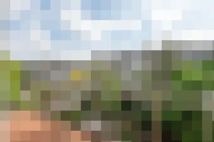 Sarphatipark 66 B Amsterdam thumbnail 5