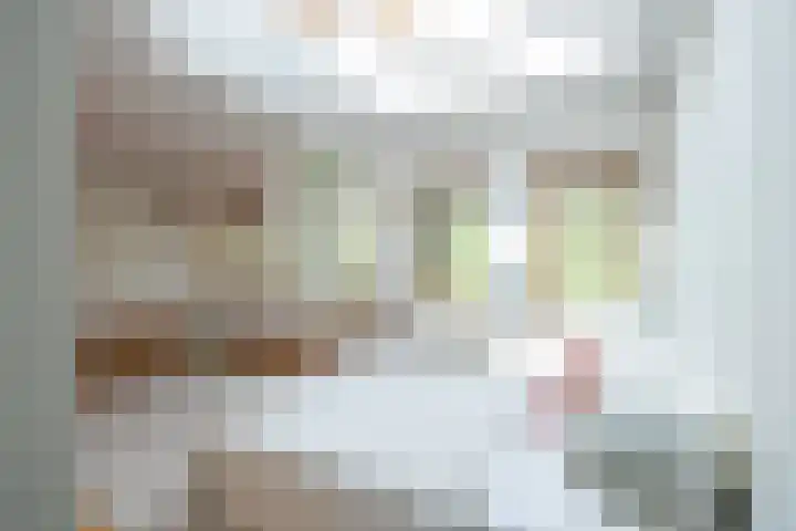 Sarphatipark 66 B Amsterdam thumbnail 9