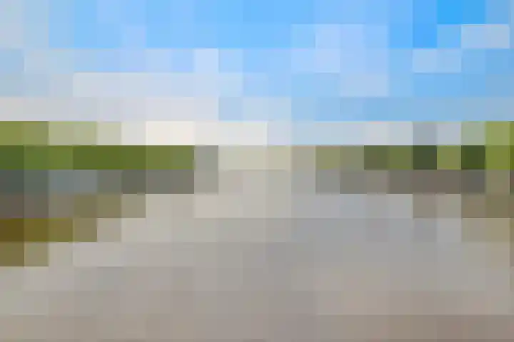 Sarphatipark 72 1 Amsterdam thumbnail 40