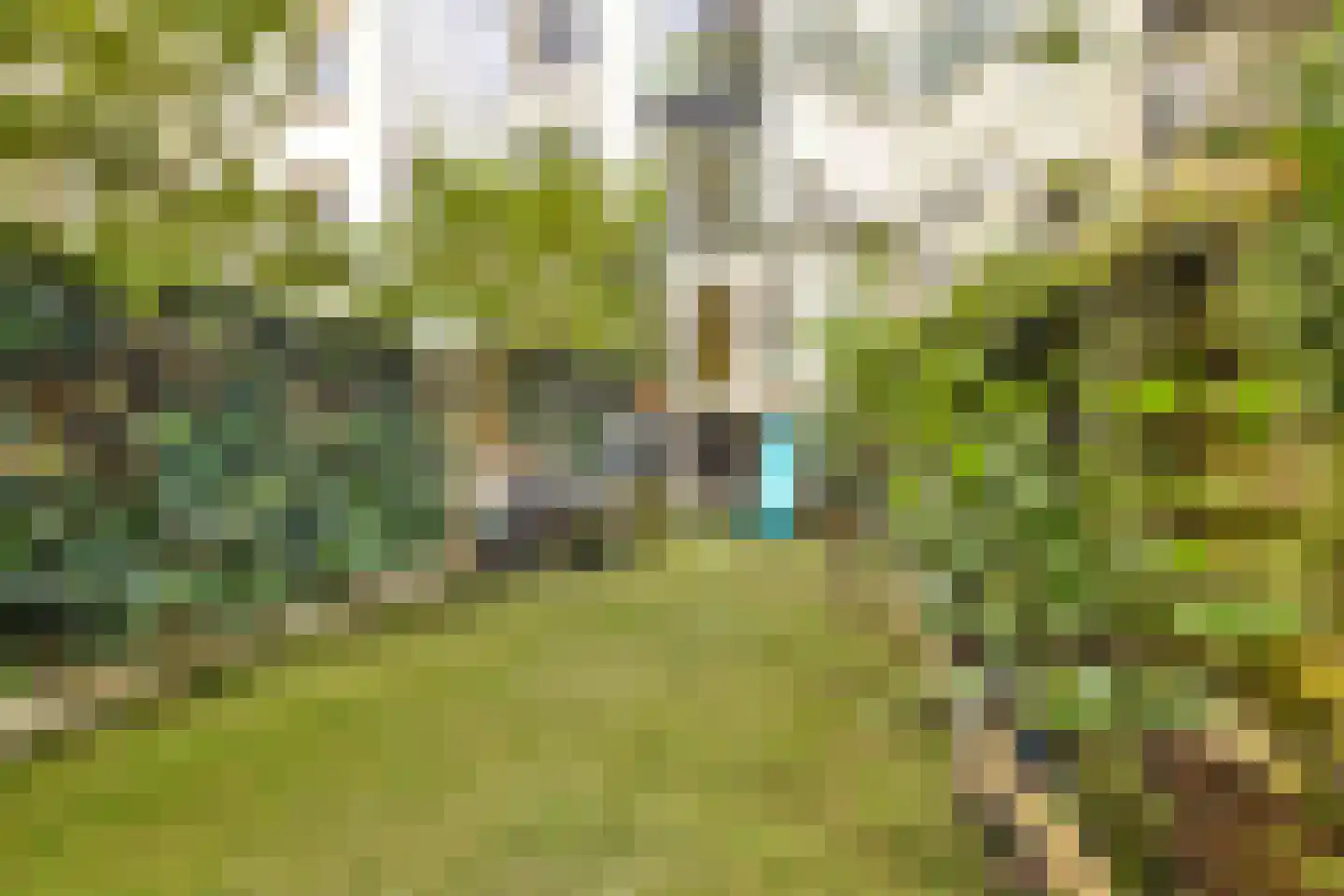 Sarphatipark 73 Amsterdam thumbnail 10