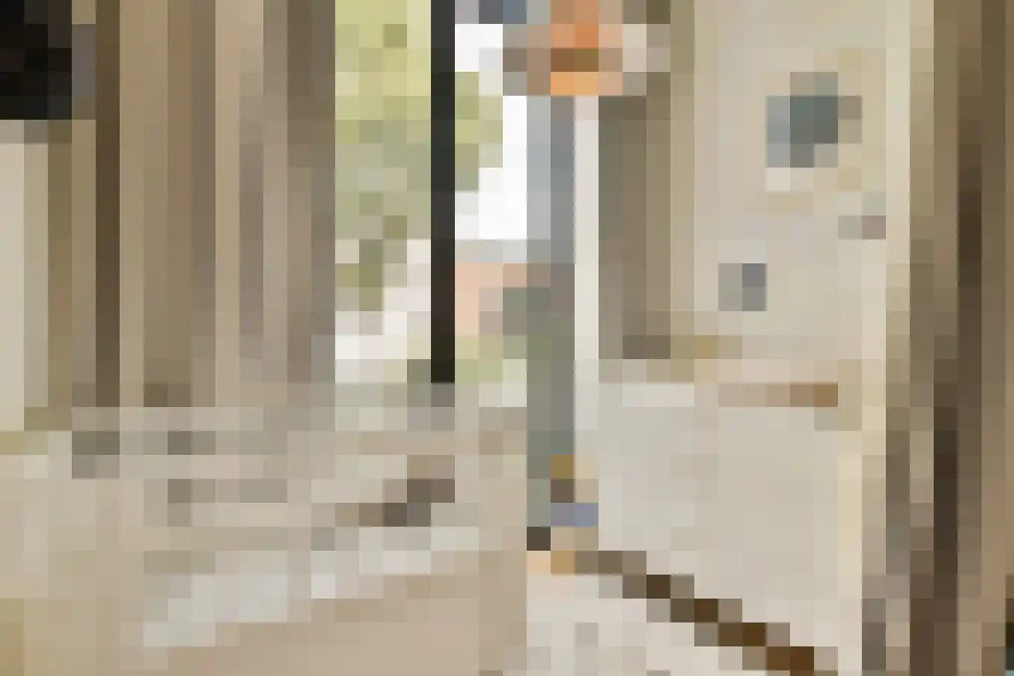 Sarphatipark 73 Amsterdam thumbnail 17