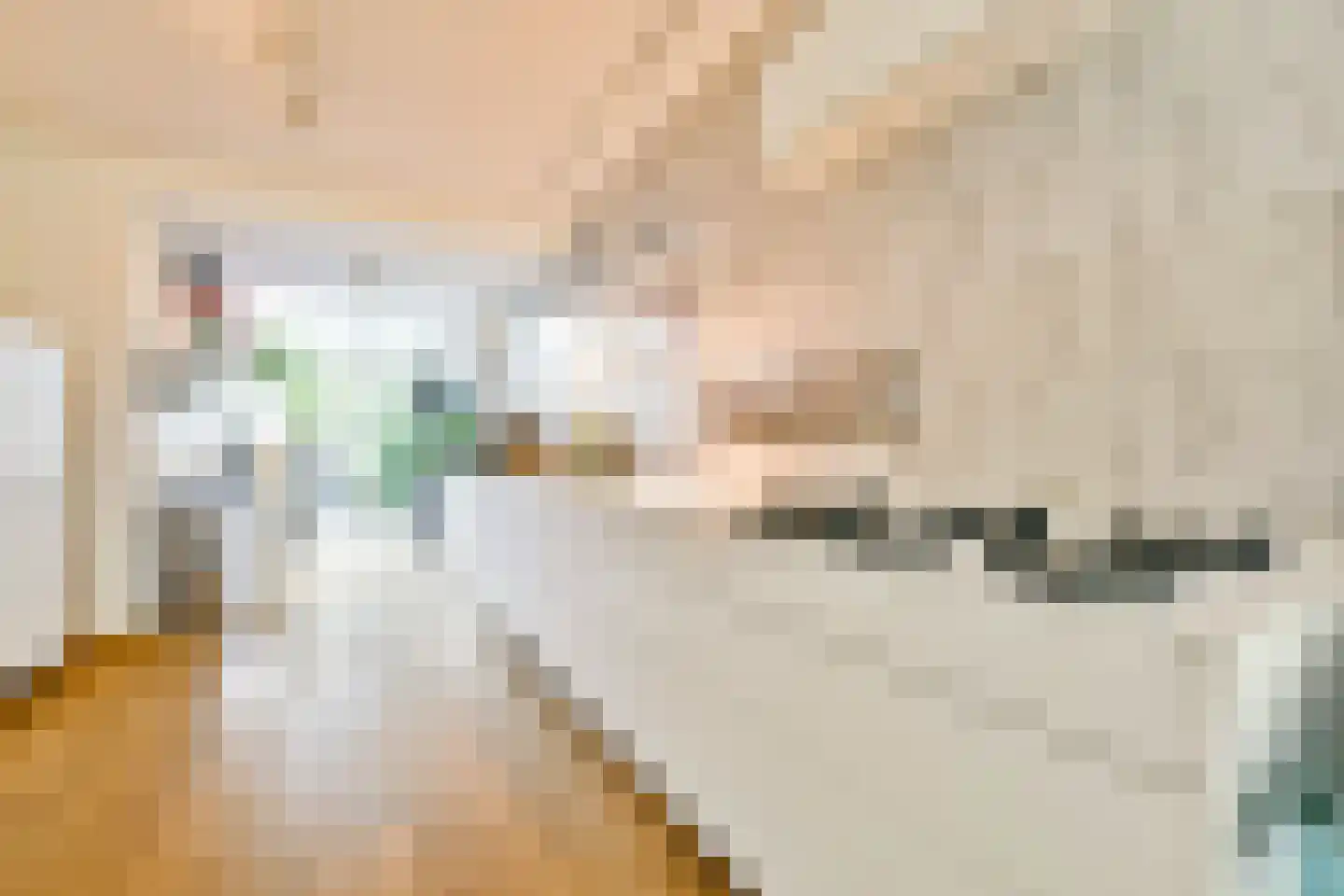 Sarphatipark 73 Amsterdam thumbnail 5