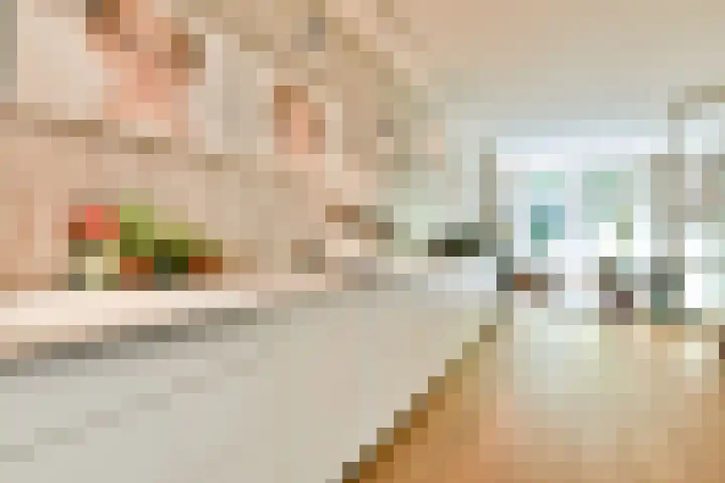 Sarphatipark 73 Amsterdam thumbnail 7