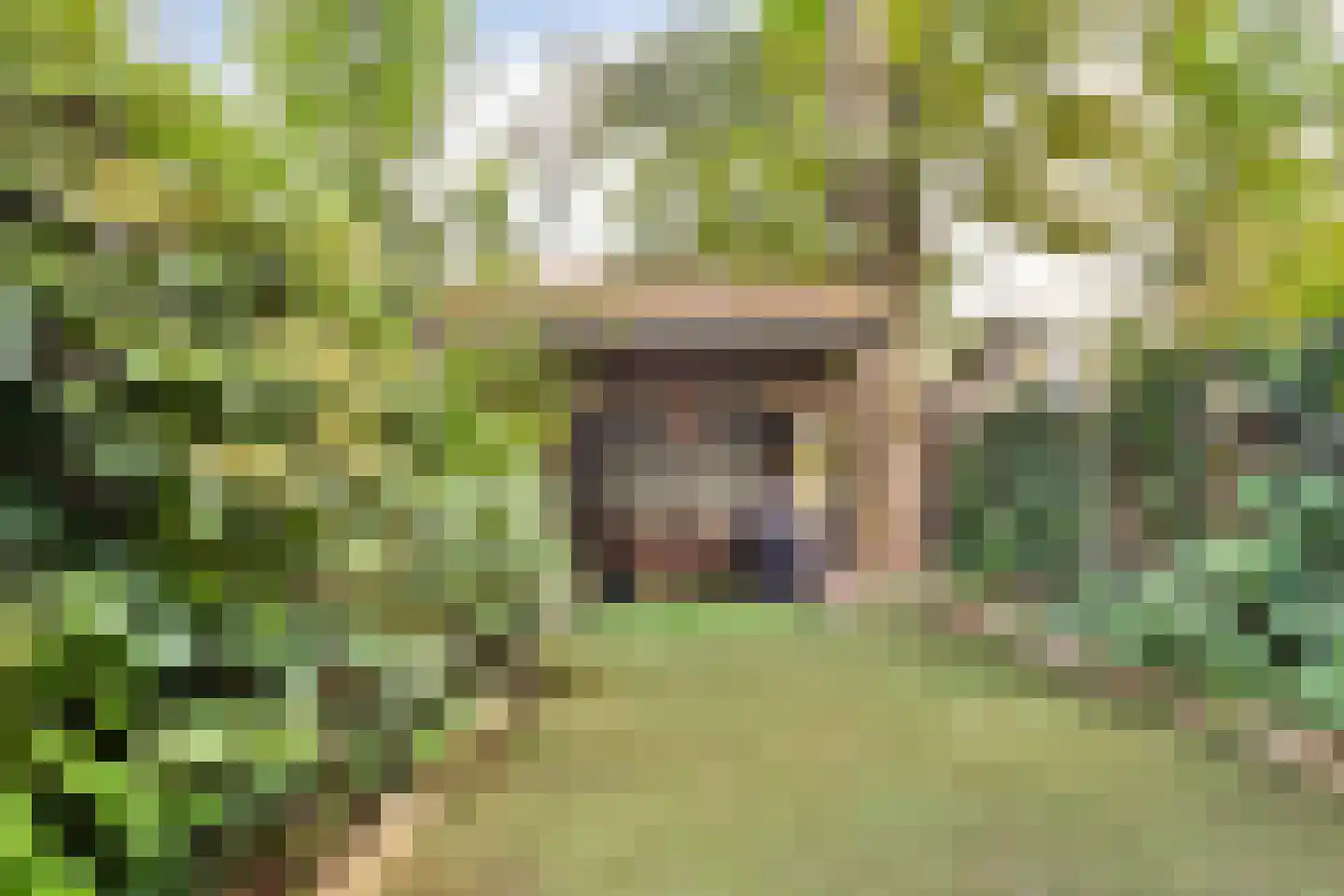 Sarphatipark 73 Amsterdam thumbnail 9