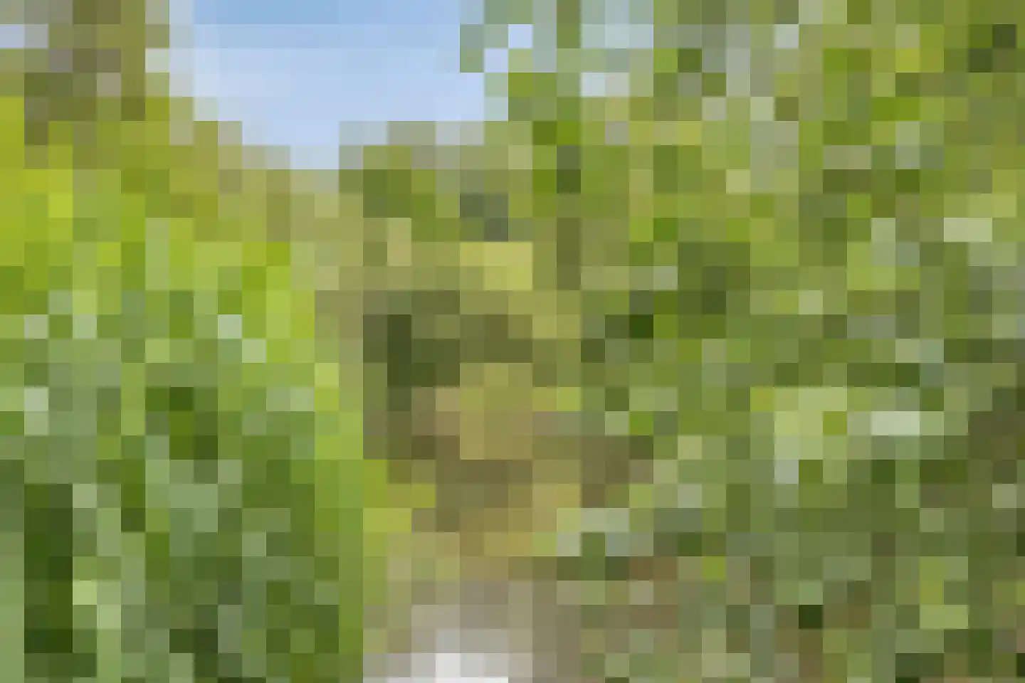 Sarphatipark 8 H Amsterdam thumbnail 30