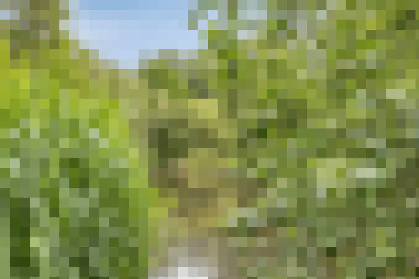 Sarphatipark 8 H Amsterdam thumbnail 30