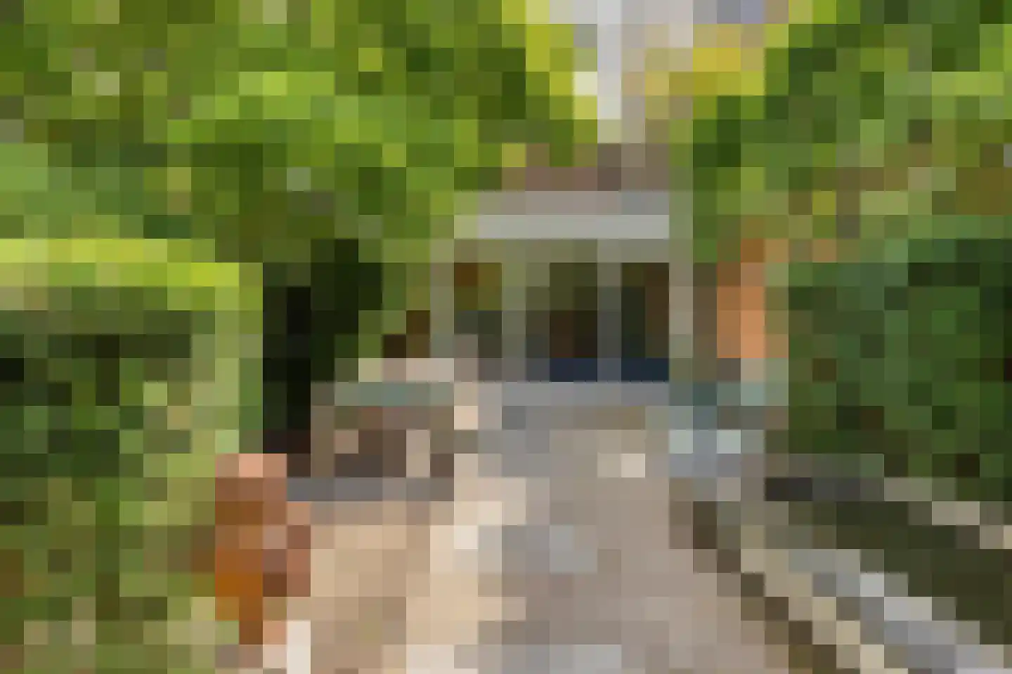Sarphatipark 8 H Amsterdam thumbnail 4