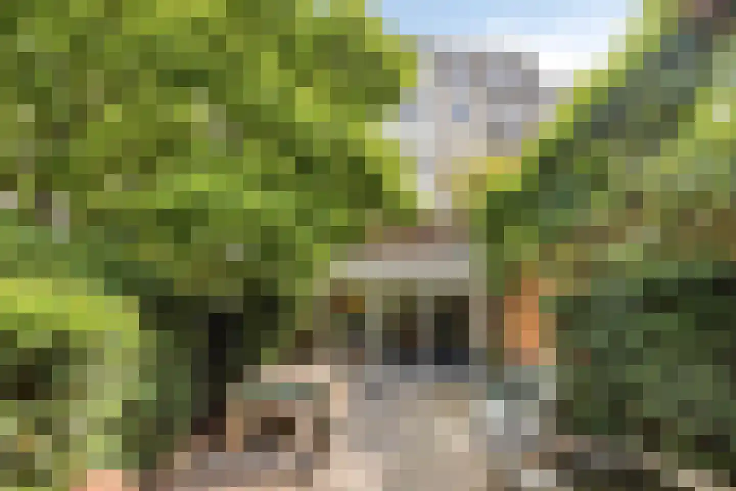 Sarphatipark 8 H Amsterdam thumbnail 5