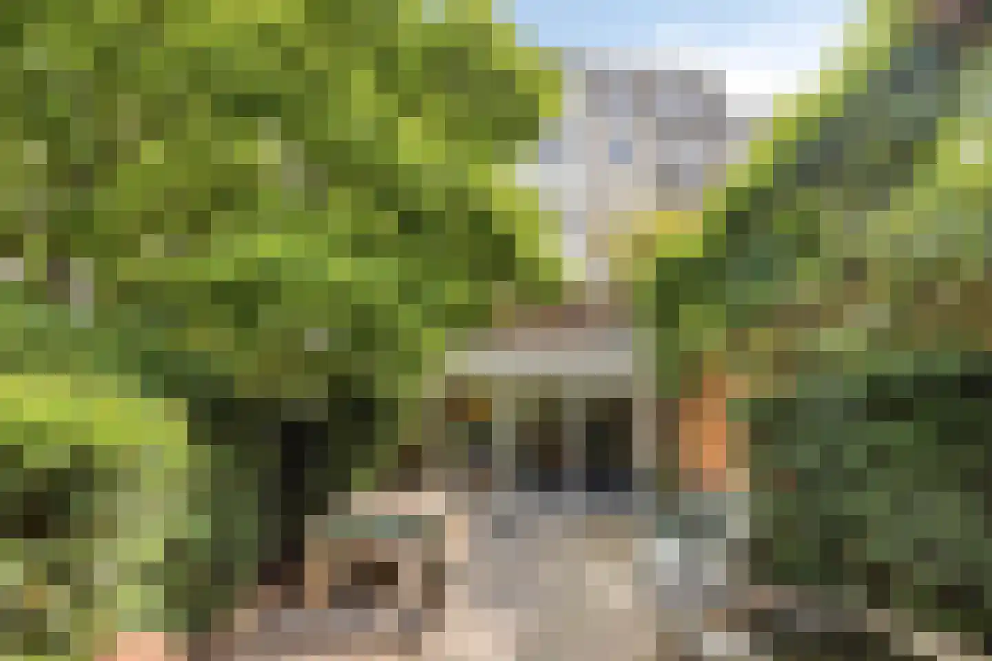 Sarphatipark 8 H Amsterdam thumbnail 5