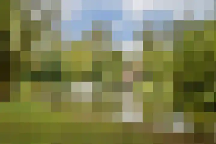Sarphatipark 86 H Amsterdam thumbnail 27