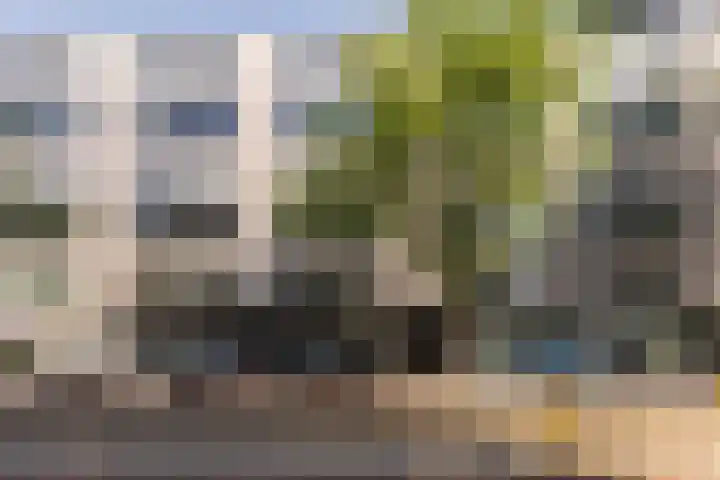 Sarphatistraat 141 B Amsterdam thumbnail 4