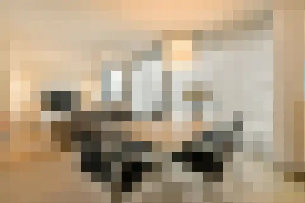 Sarphatistraat 2 Amsterdam thumbnail 4