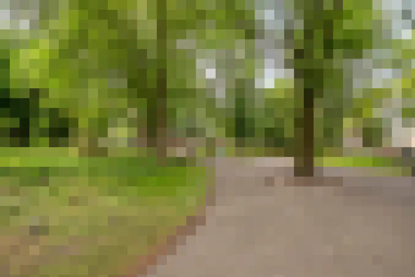 Sarphatistraat 2 H Amsterdam thumbnail 33