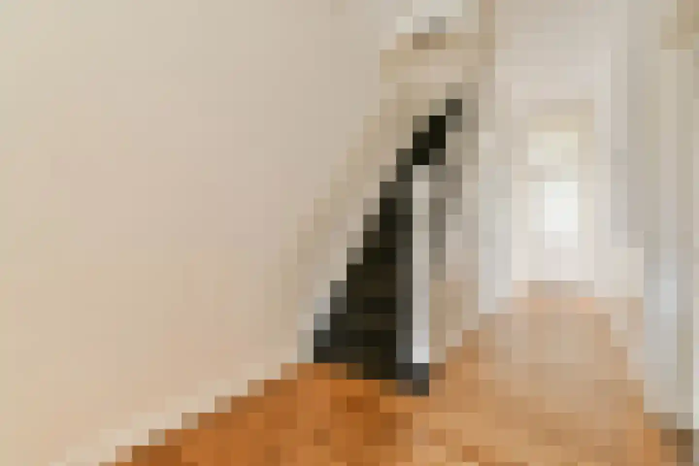 Sarphatistraat 213 2 Amsterdam thumbnail 12