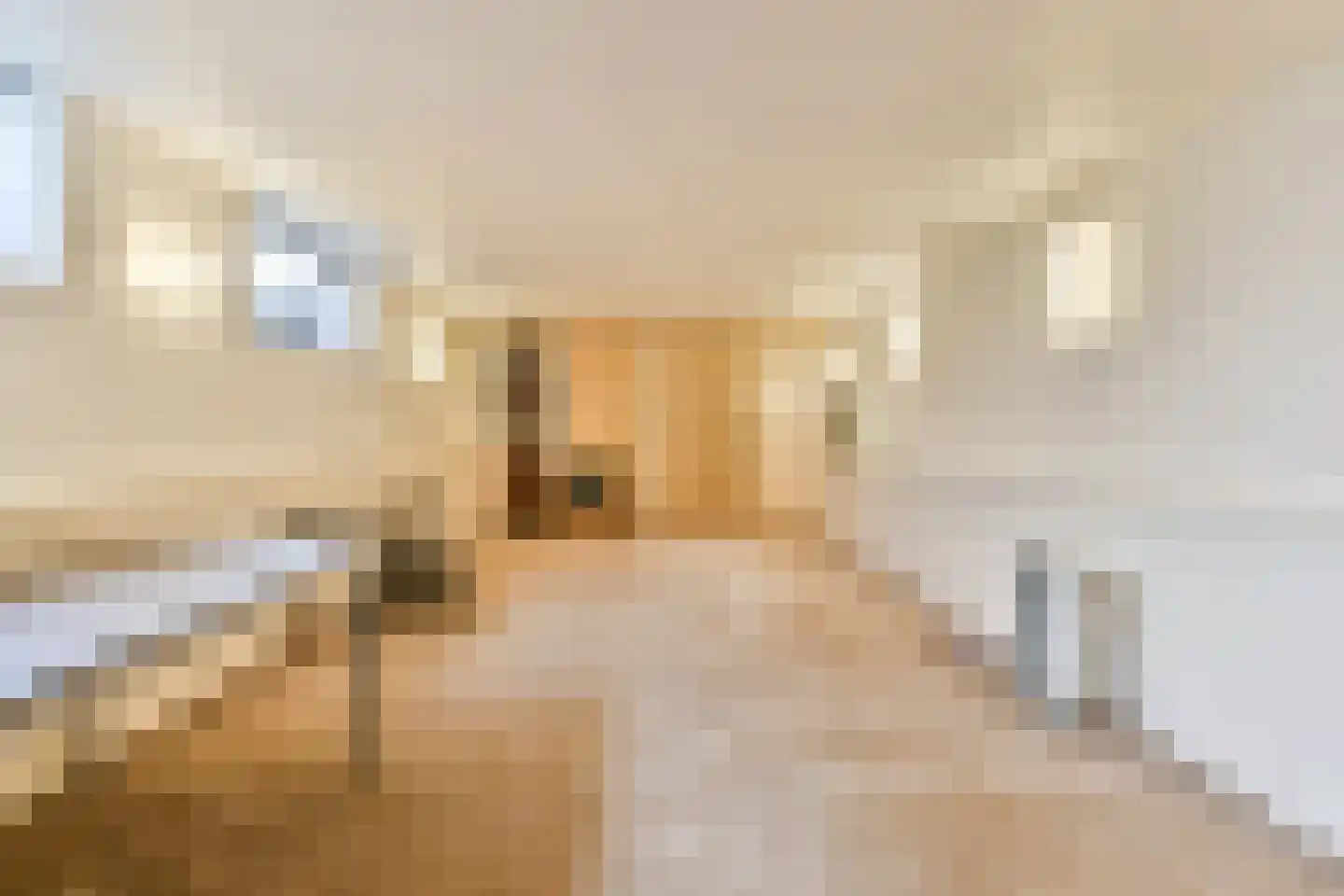 Sarphatistraat 213 2 Amsterdam thumbnail 29