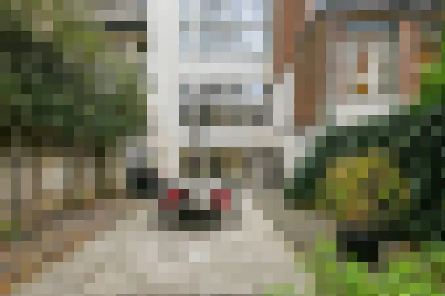 Sarphatistraat 43 B Amsterdam thumbnail 30
