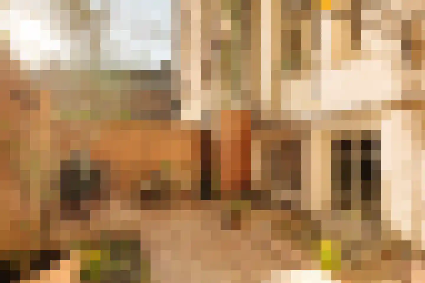 Sarphatistraat 478 Amsterdam thumbnail 14
