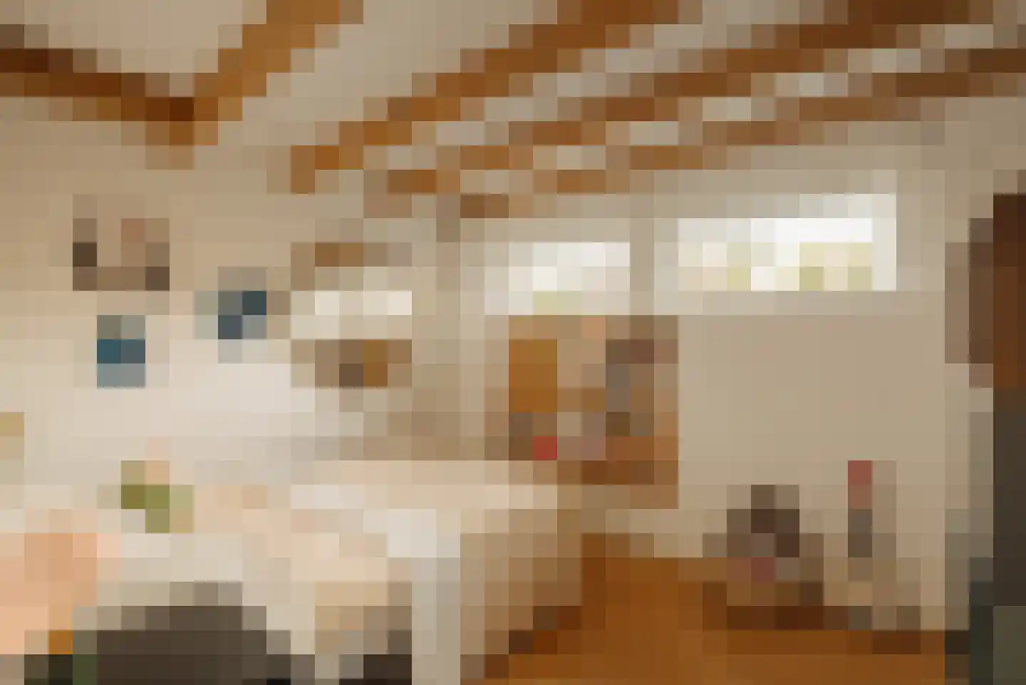 Sarphatistraat 478 Amsterdam thumbnail 29