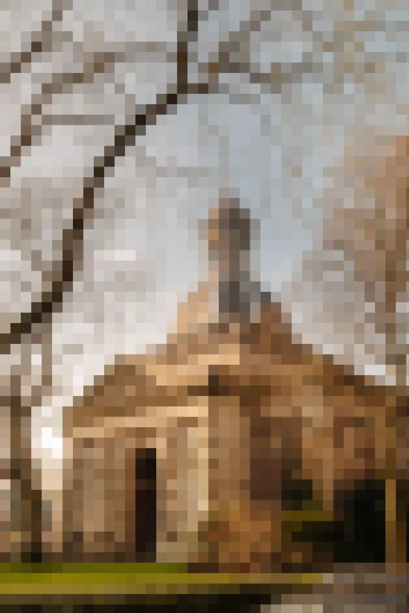 Sarphatistraat 478 Amsterdam thumbnail 44