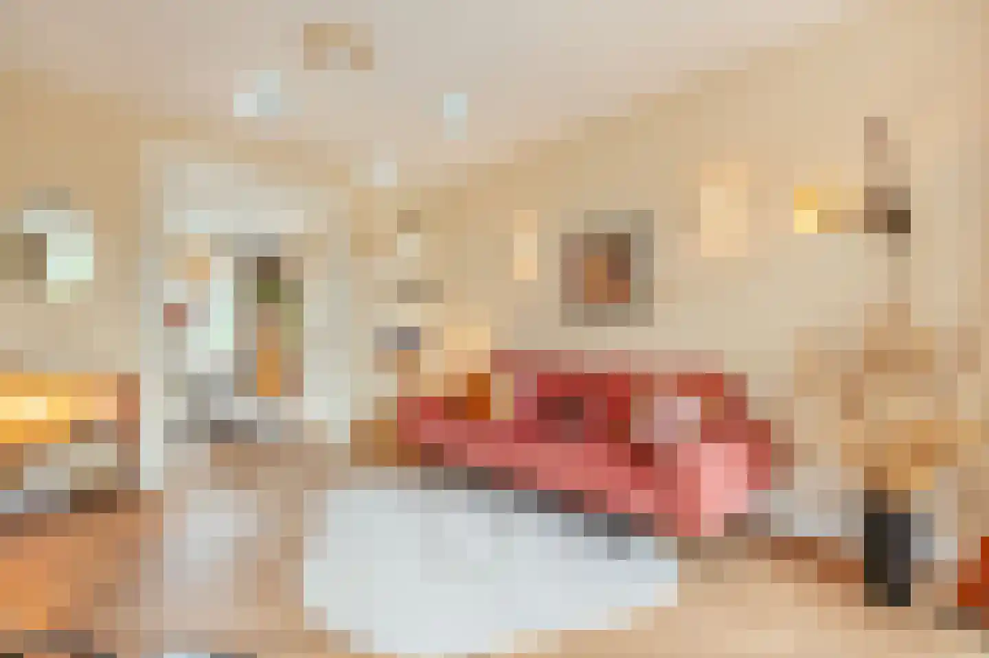 Sarphatistraat 568 Amsterdam thumbnail 8