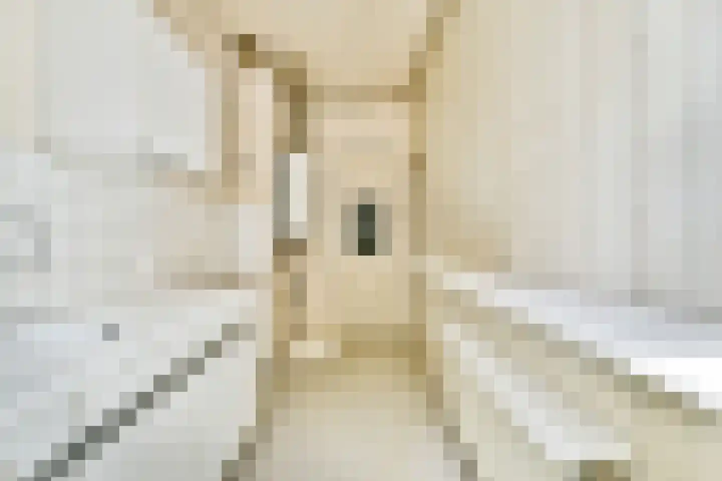 Sarphatistraat 588 Amsterdam thumbnail 18