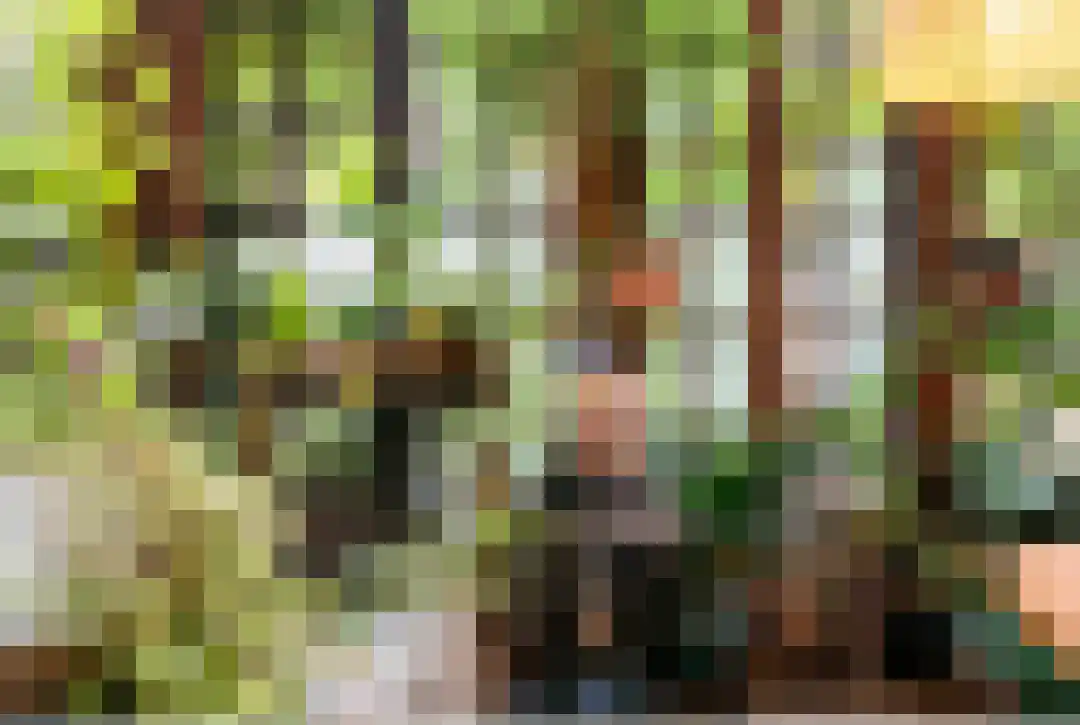 Sarphatistraat 66 Amsterdam thumbnail 7