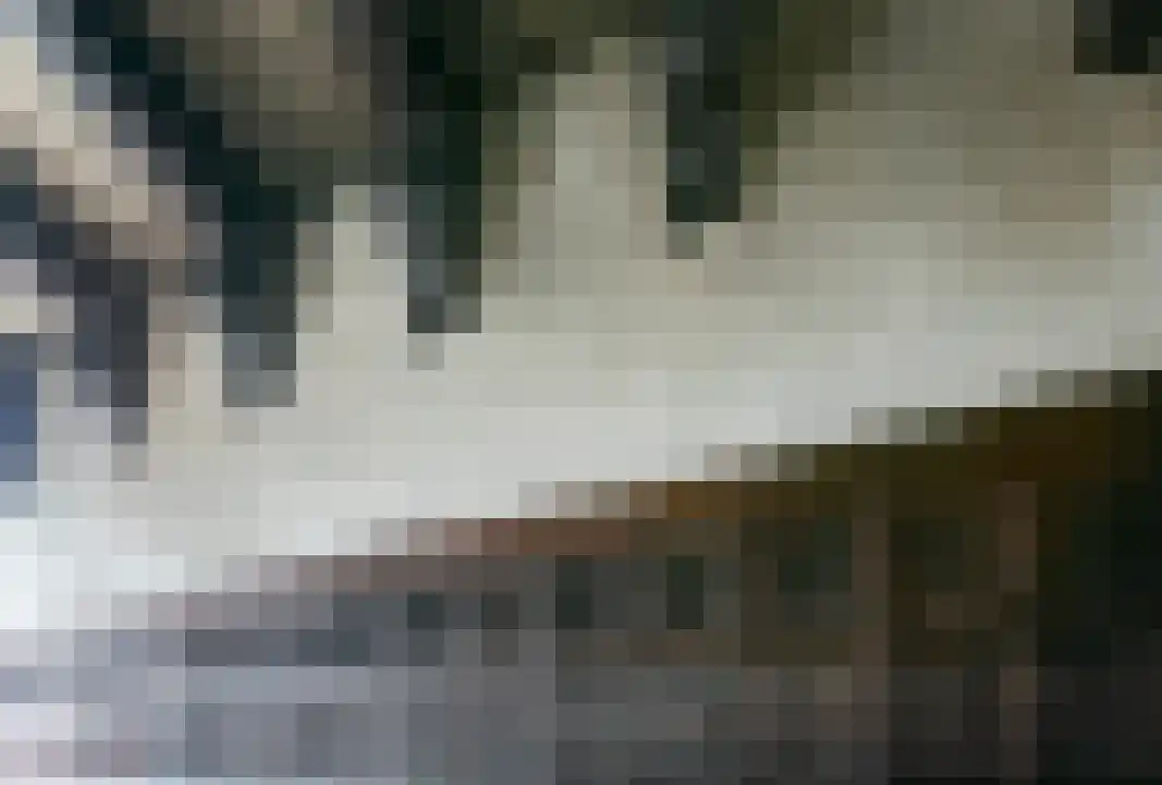 Sarphatistraat 66 Amsterdam thumbnail 9