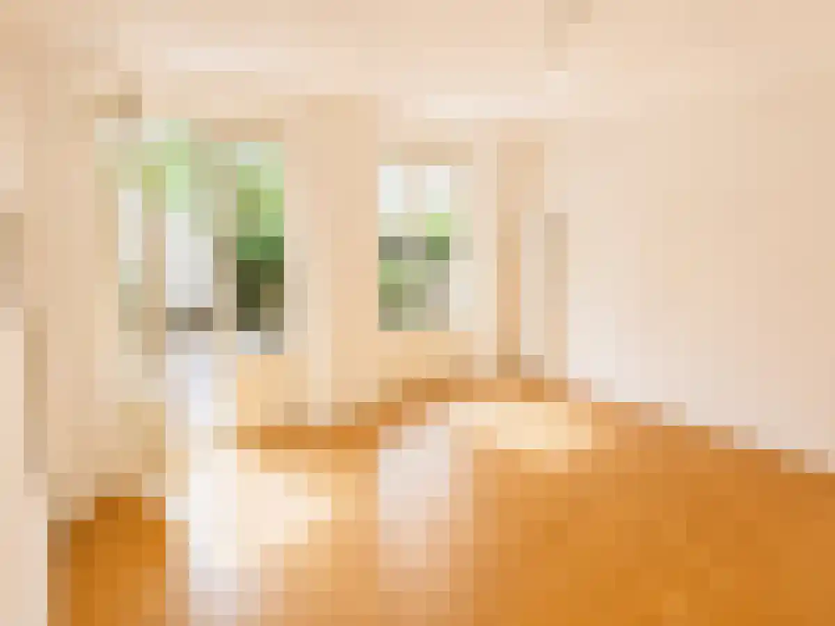 Sarphatistraat 81 Amsterdam thumbnail 4