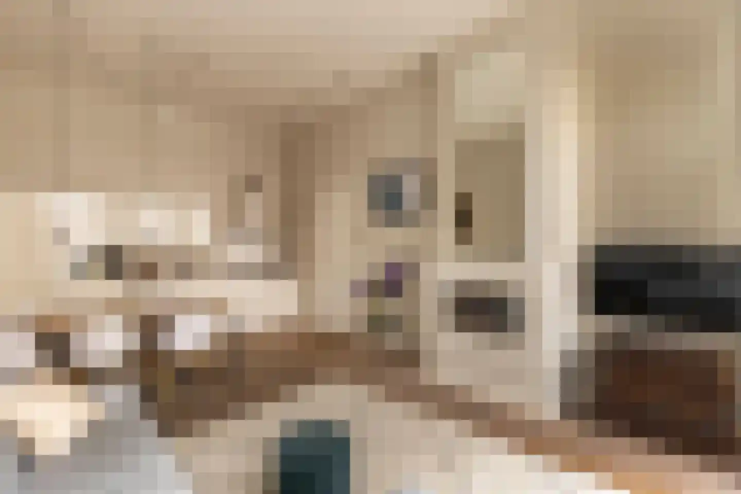 Sarphatistraat 85 B Amsterdam thumbnail 5
