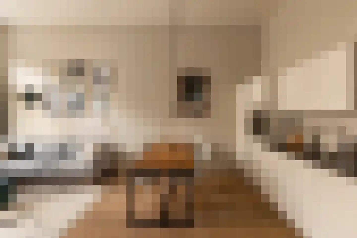 Sarphatistraat 85 B Amsterdam thumbnail 9