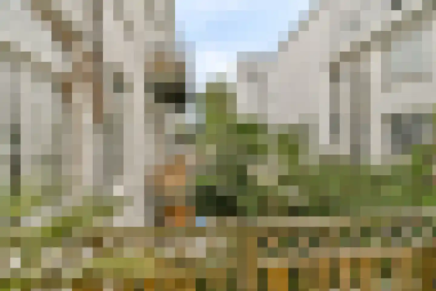 Sarphatistraat 87 F Amsterdam thumbnail 11