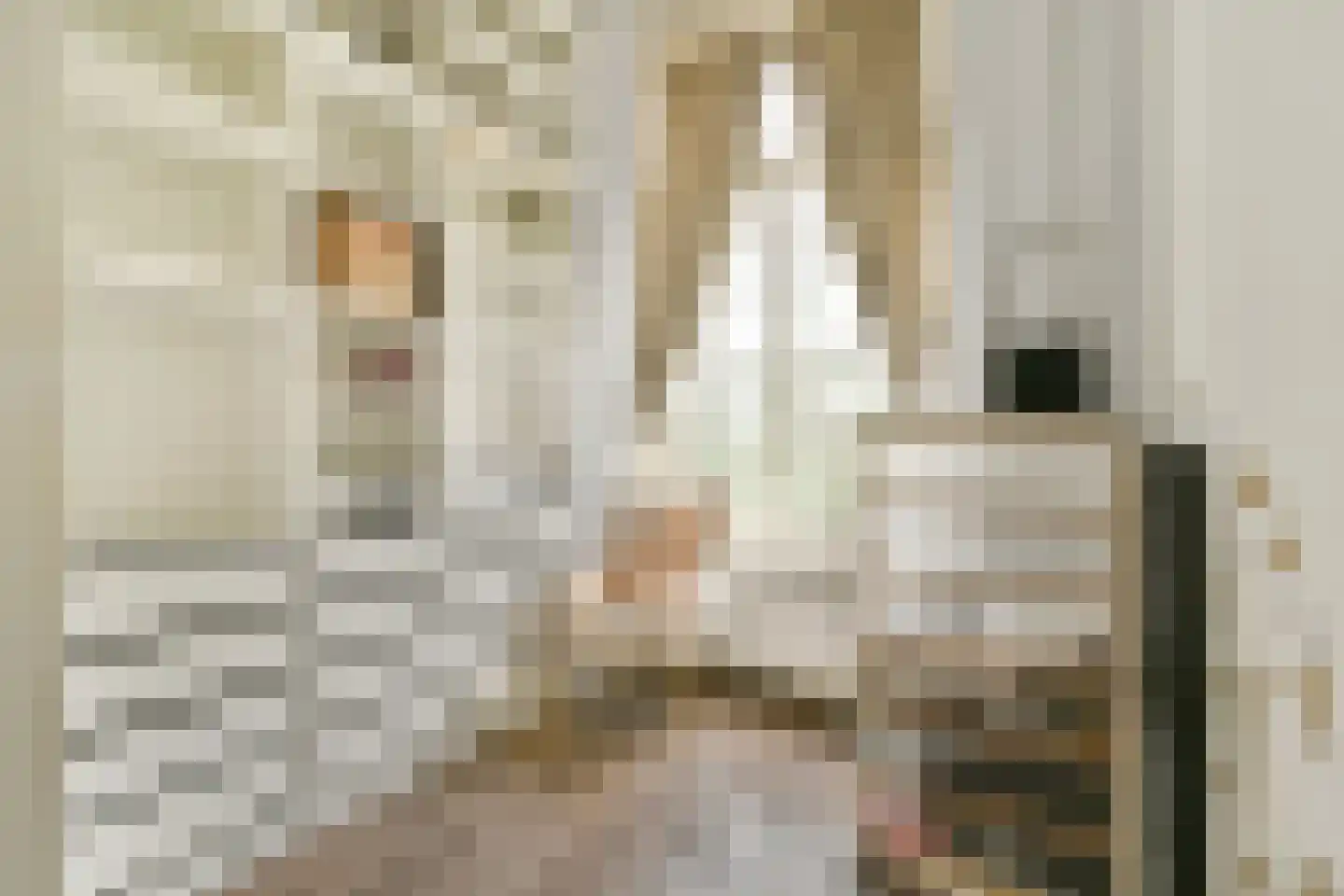 Sarphatistraat 87 F Amsterdam thumbnail 14