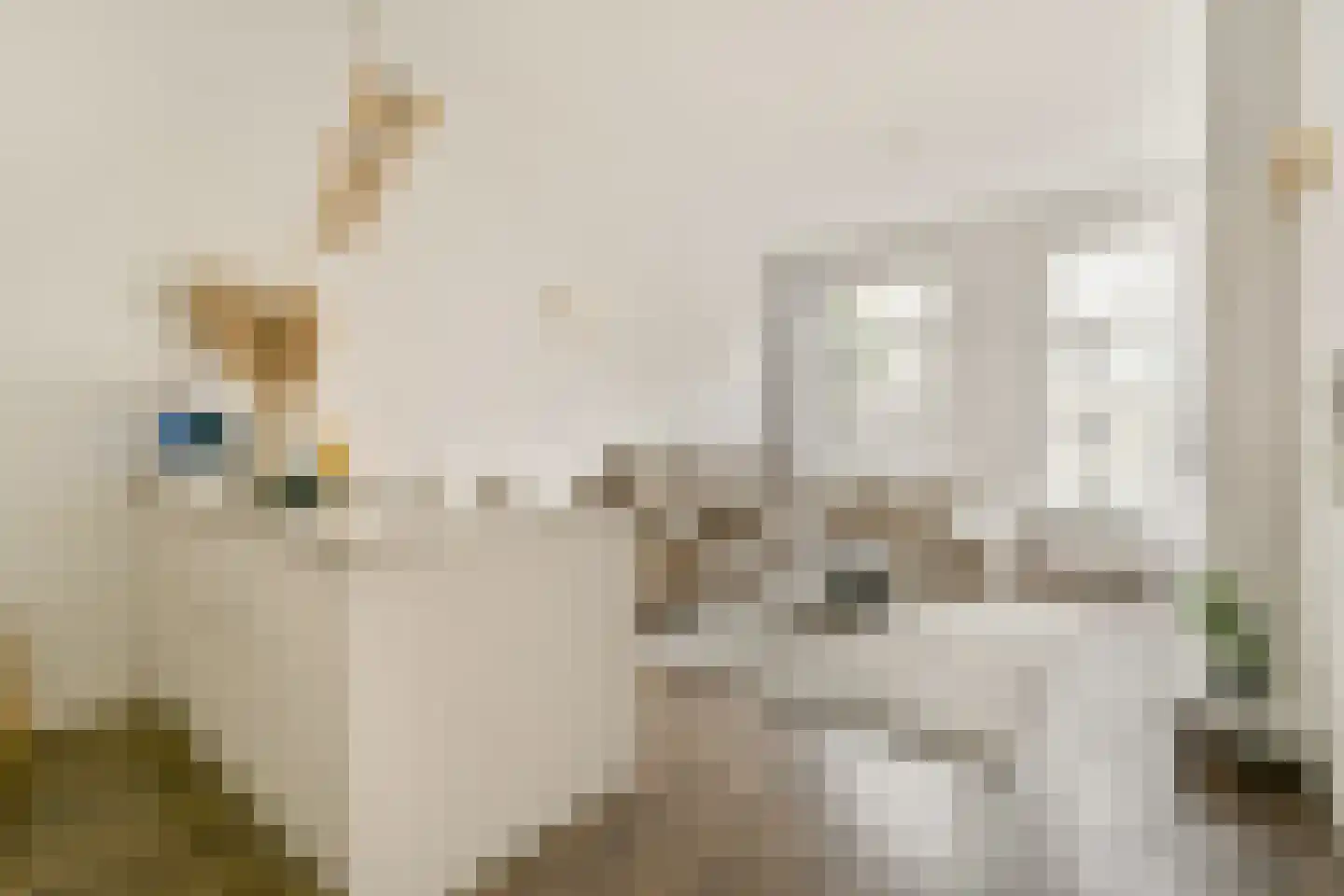 Sarphatistraat 87 F Amsterdam thumbnail 6