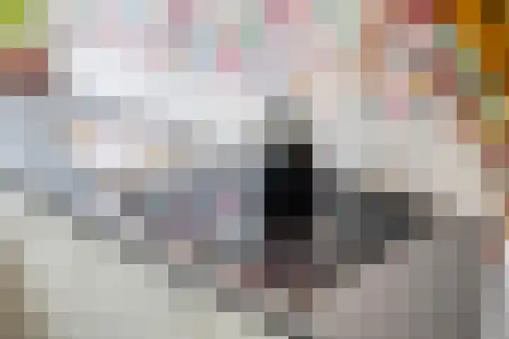 Sartènelaan 14 Eindhoven thumbnail 14