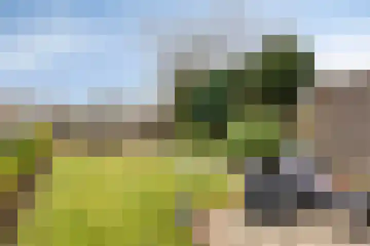 Sartènelaan 14 Eindhoven thumbnail 15