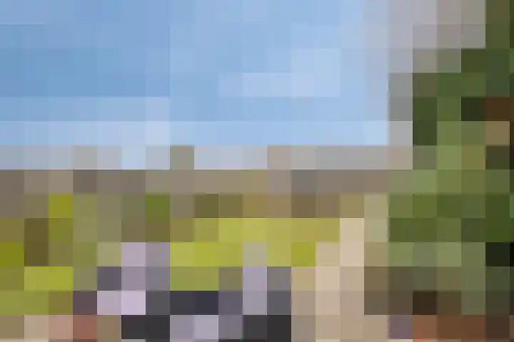 Sartènelaan 14 Eindhoven thumbnail 16