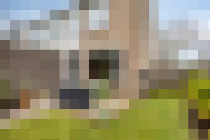 Sartènelaan 14 Eindhoven thumbnail 17