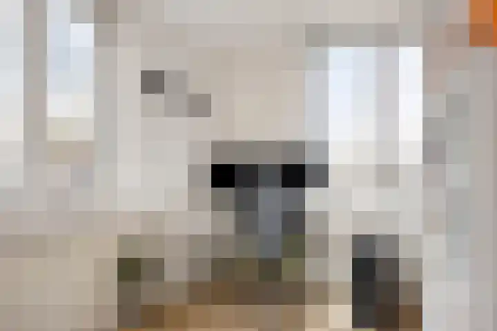 Sartènelaan 14 Eindhoven thumbnail 27