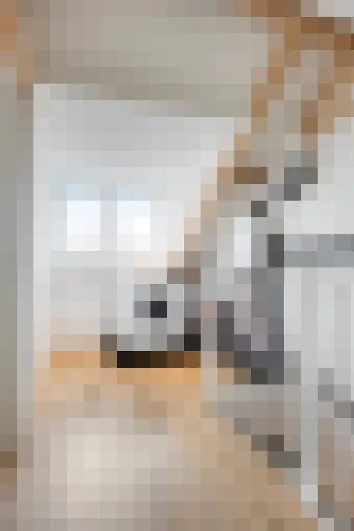 Sartènelaan 14 Eindhoven thumbnail 29