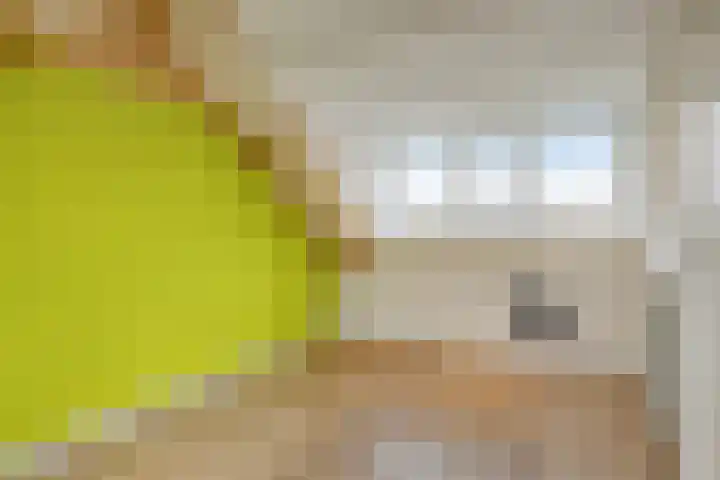 Sartènelaan 14 Eindhoven thumbnail 31