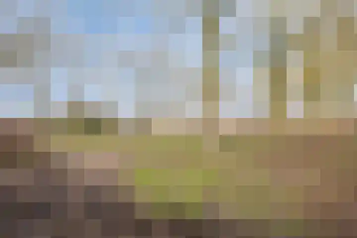 Sartènelaan 14 Eindhoven thumbnail 4