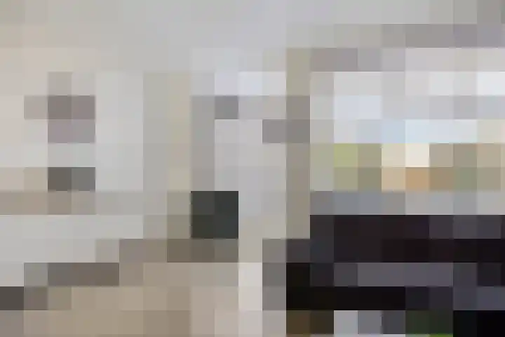 Sartènelaan 4 Eindhoven thumbnail 10