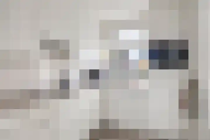Sartènelaan 4 Eindhoven thumbnail 15