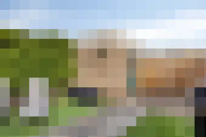 Sartènelaan 4 Eindhoven thumbnail 34