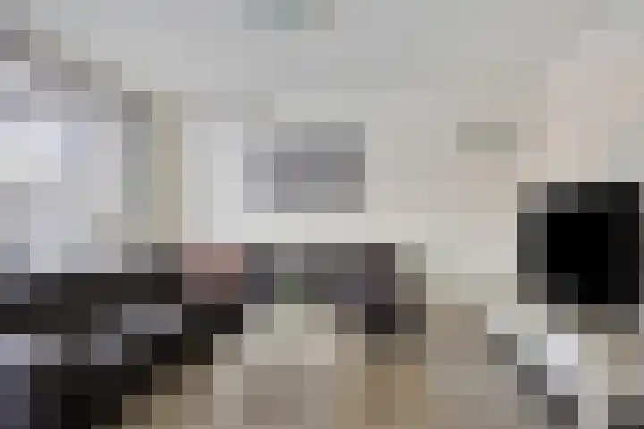 Sartènelaan 4 Eindhoven thumbnail 9