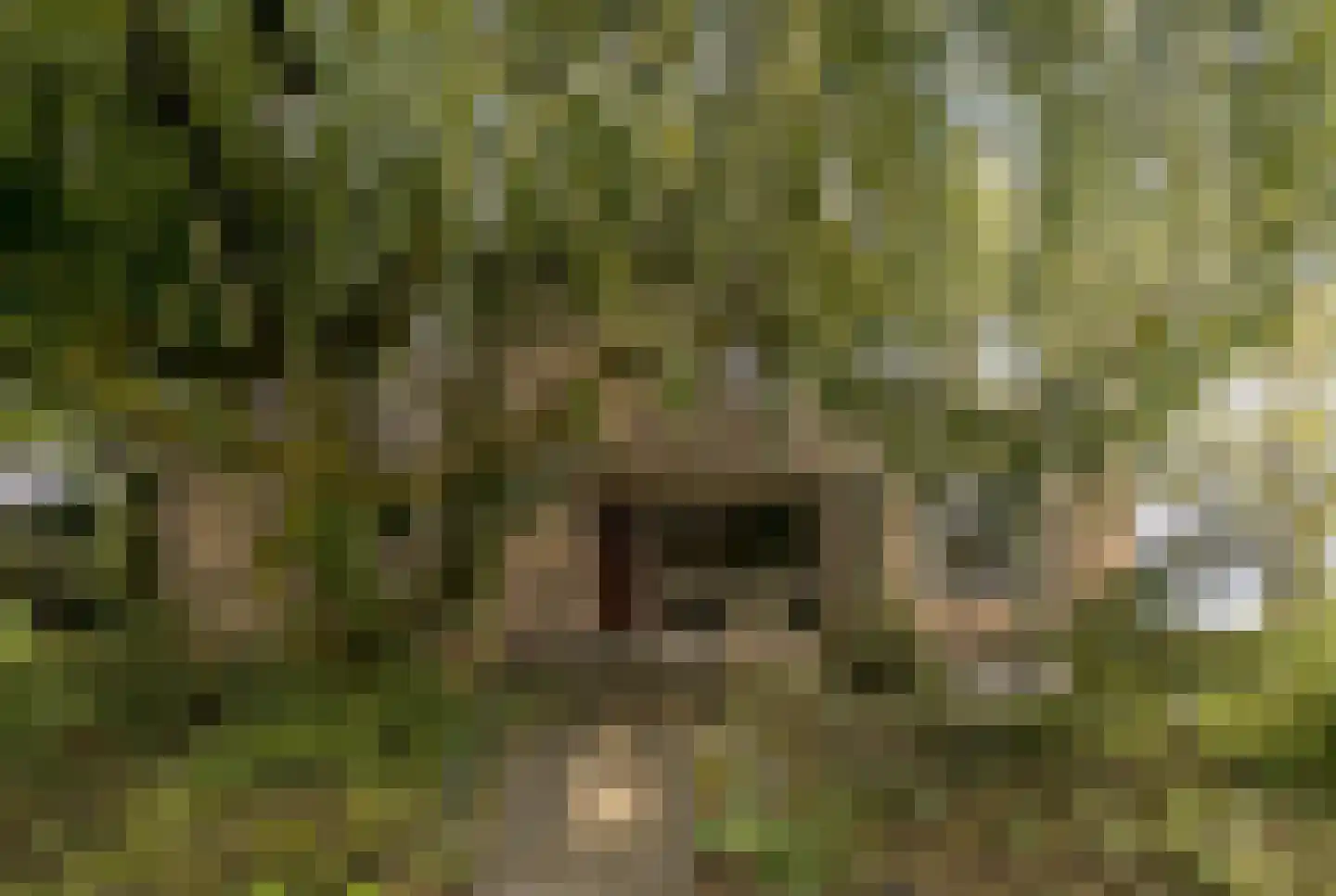 Sartonlaan 13 Sittard thumbnail 12