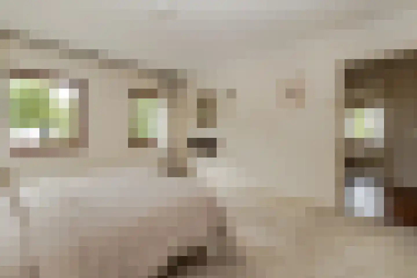 Sartonlaan 13 Sittard thumbnail 36