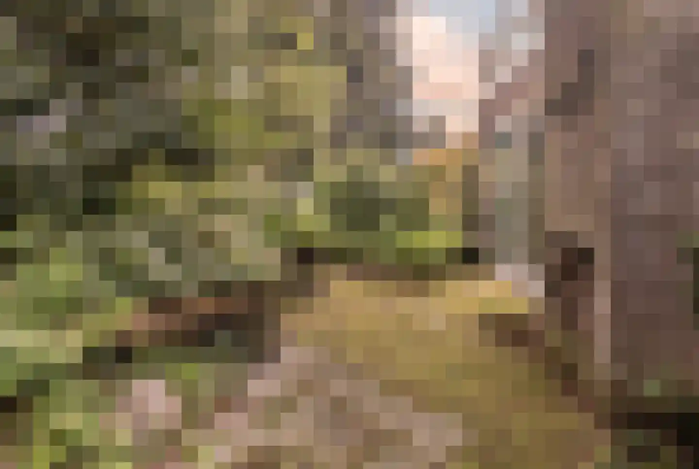 Sartonlaan 13 Sittard thumbnail 51