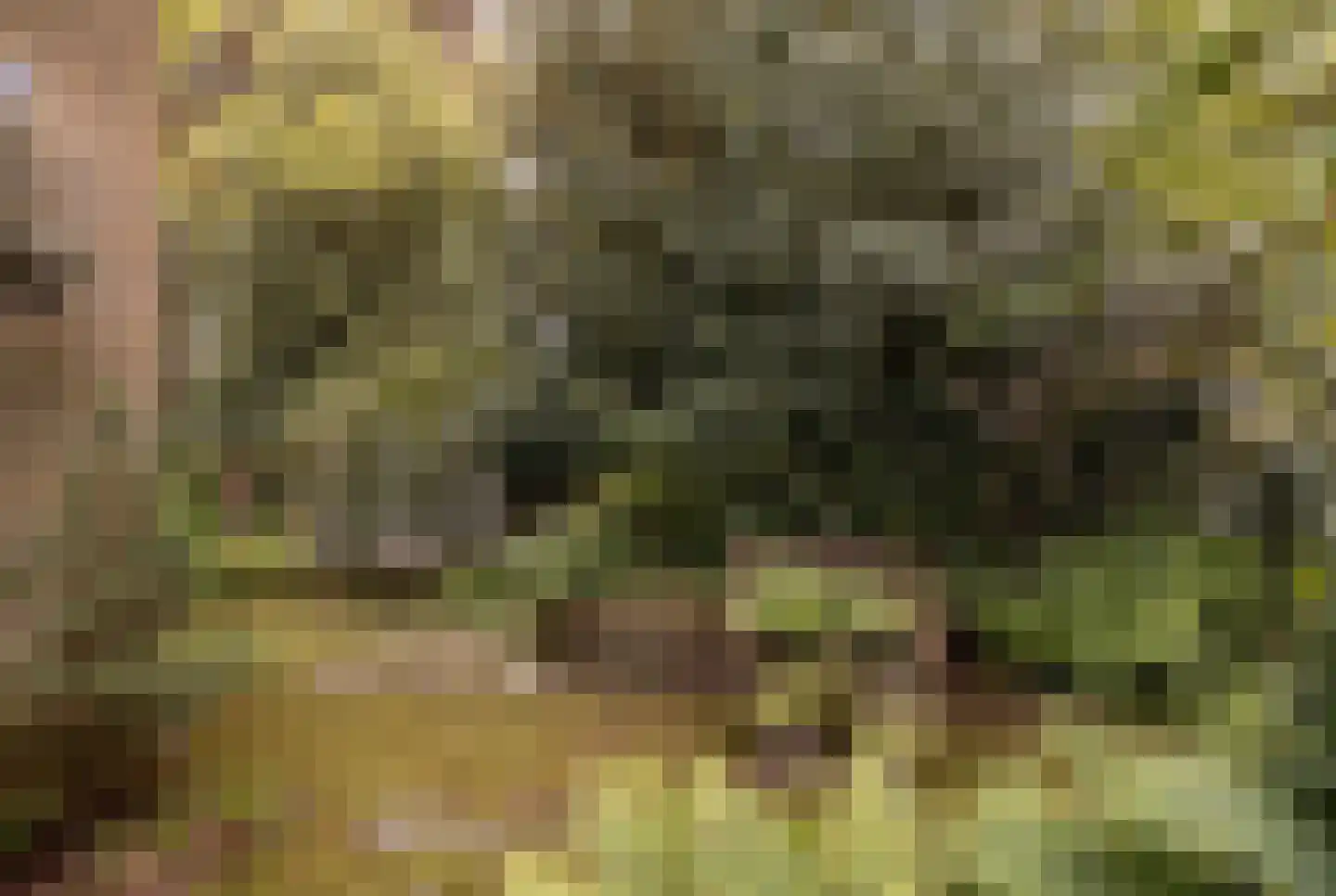 Sartonlaan 13 Sittard thumbnail 52