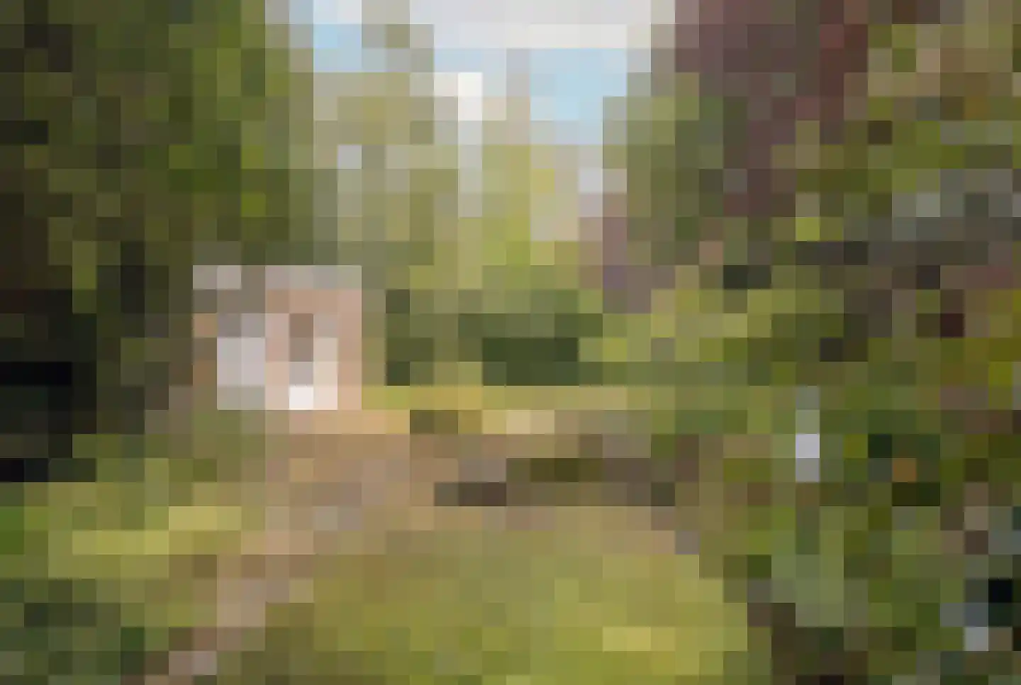 Sartonlaan 13 Sittard thumbnail 53